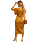 Women’s Minimalist Slim Fit Elegant Dress